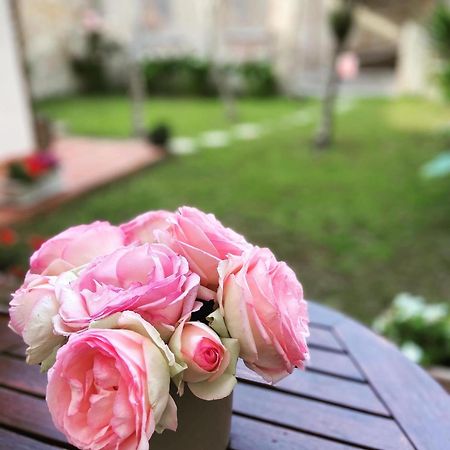 Victoria House B&B Πίζα Εξωτερικό φωτογραφία