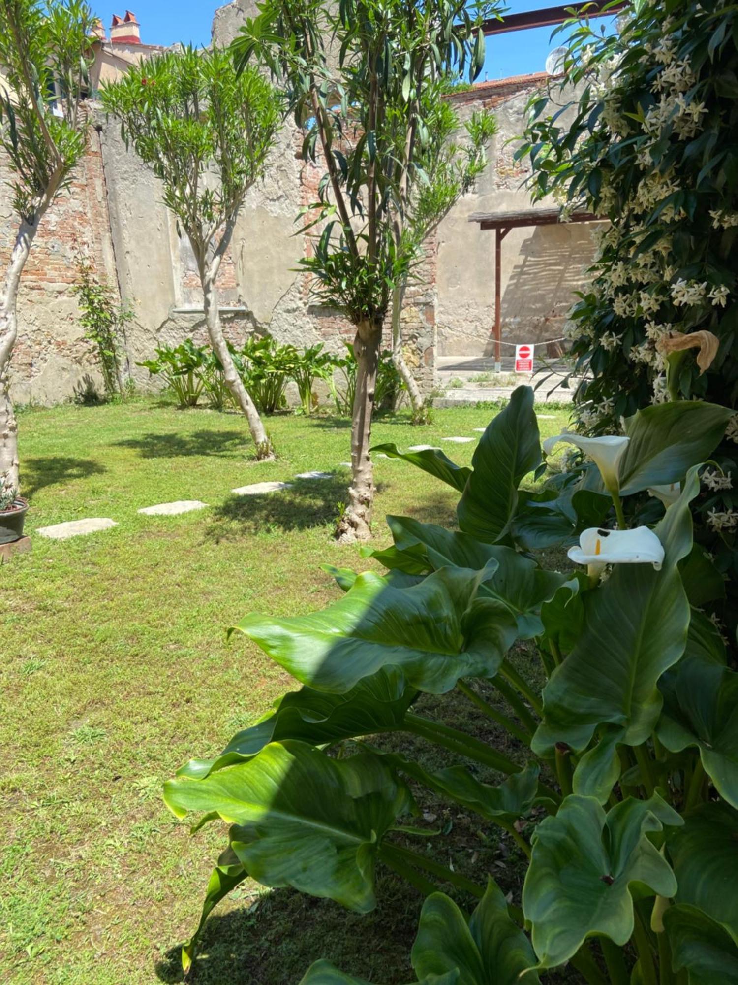 Victoria House B&B Πίζα Εξωτερικό φωτογραφία